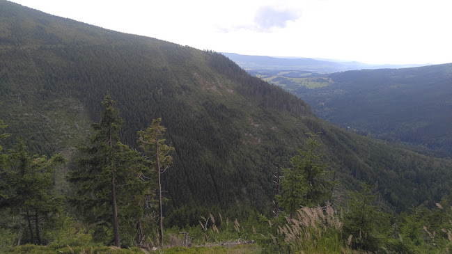 Nekoř 185, 561 63 Nekoř