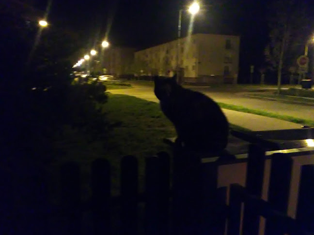 Hospůdka Buřvalka - Gastronomie a pohostinství