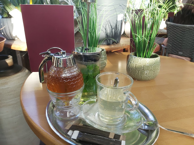 Opinii despre Café Dvořák a syn în Trnovany - Gastronomie a pohostinství