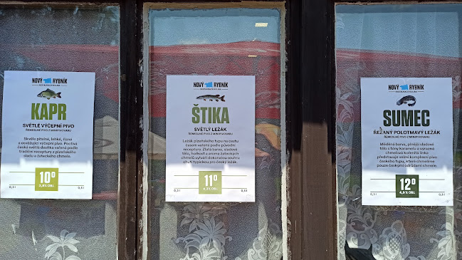 Kemp Nový rybník - Nepomuk