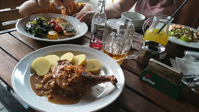 Comentarii opinii despre Restaurace Wallis