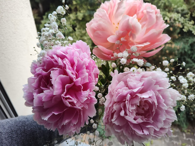 Květinářství u Santošky