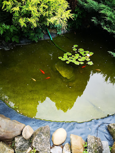 Pod Lipou 298, 413 01 Vědomice, Česko