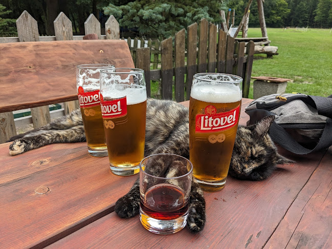 Lovecká chata - Gastronomie a pohostinství