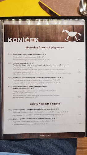 Comentarii opinii despre Restaurace Koníček