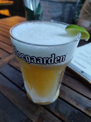 Comentarii opinii despre Potrefená husa Albertov