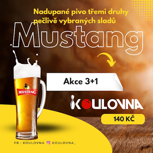 Opinii despre Koulovna Orlová în Orlová - Gastronomie a pohostinství