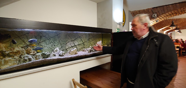 Comentarii opinii despre Restaurace Stavba