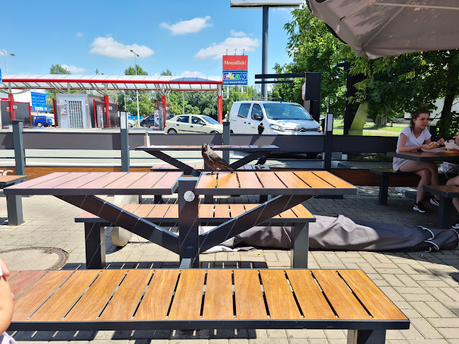 KFC Hradec Králové DT