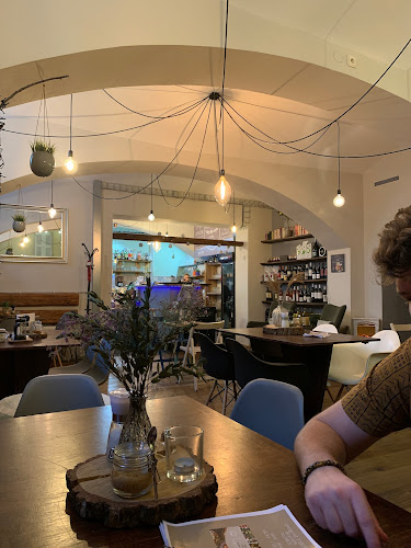 Veveří 464/17, 602 00 Brno-střed