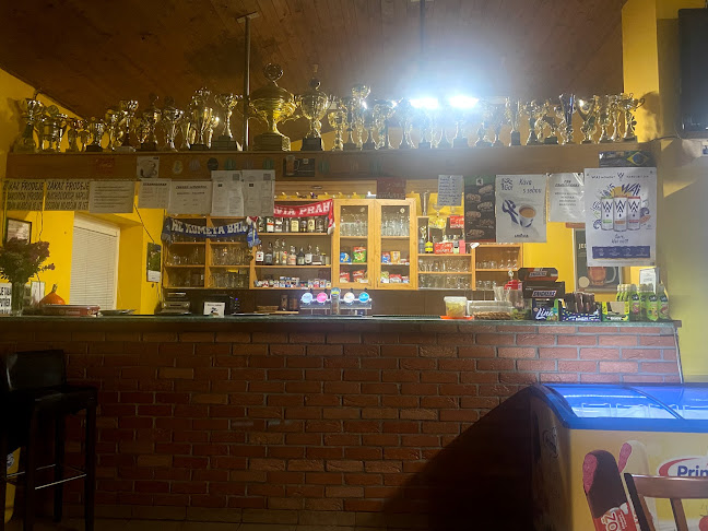 Ke Hřišti 253, 278 01 Dolany-Kralupy nad Vltavou 1