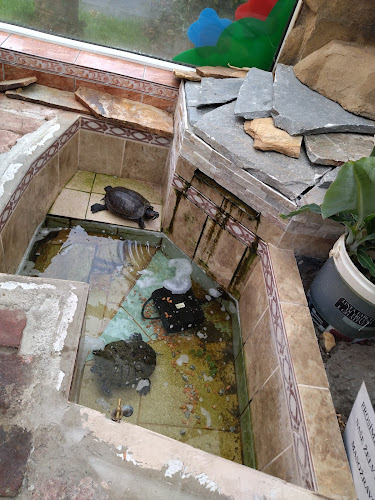 Cukrárna v Růžovém dole - Liberec