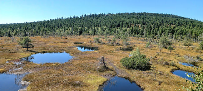 Comentarii opinii despre Restaurace u Kudrnáče