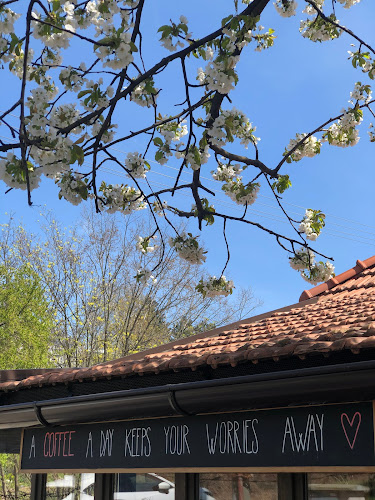 Písečník 1420/15A, 614 00 Brno-sever-Husovice