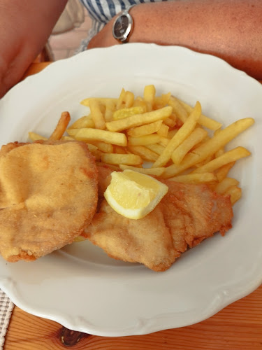 Nový Drahov 5, 351 34 Třebeň-Skalná