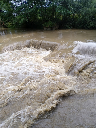 Comentarii opinii despre U Chřestýše