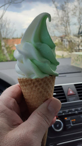 Comentarii opinii despre ICE BROTHERS