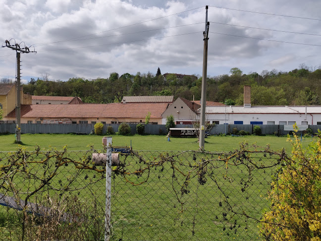 Psí škola na Ostrově Brno