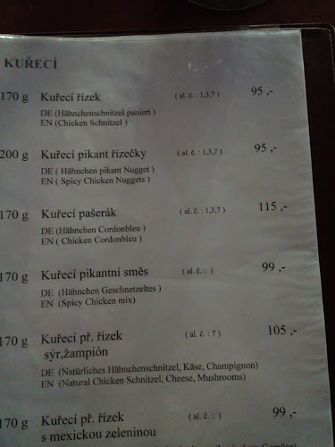 Comentarii opinii despre Penzion KONGO