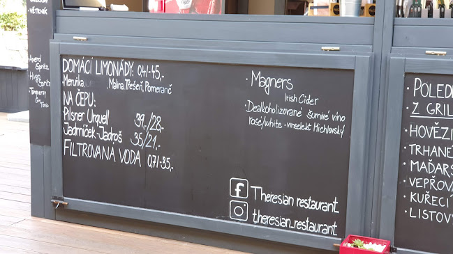 Opinii despre Theresian Restaurant în Olomouc - Gastronomie a pohostinství