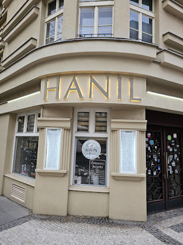 Comentarii opinii despre Hanil