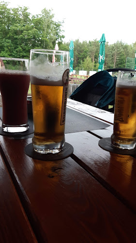 V Borku 138, 517 22 Albrechtice nad Orlicí