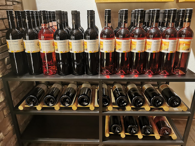 Vingl vinný bar - Gastronomie a pohostinství