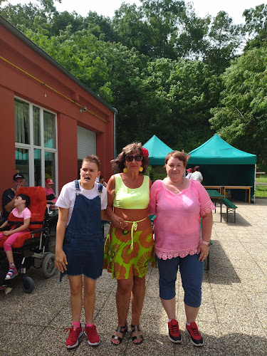 Comentarii opinii despre Kotelna