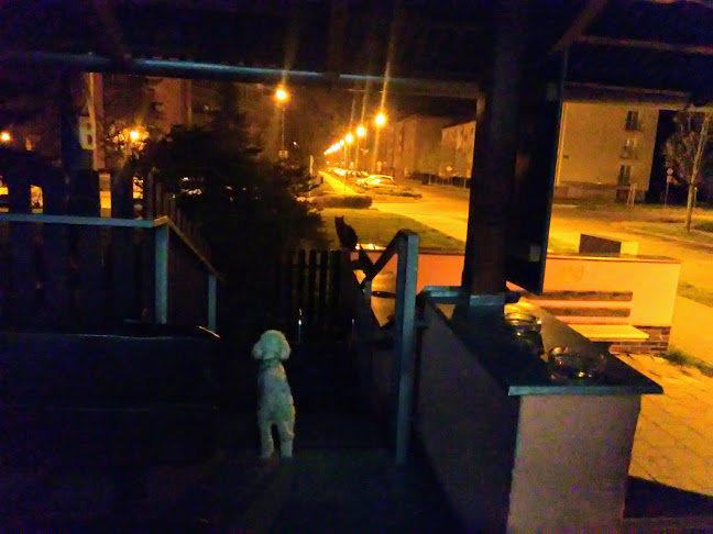 Comentarii opinii despre Hospůdka Buřvalka