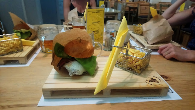 Grohova 101/2, 602 00 Brno-střed-Veveří