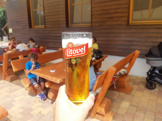 Opinii despre Lovecká chata în Olomouc - Gastronomie a pohostinství