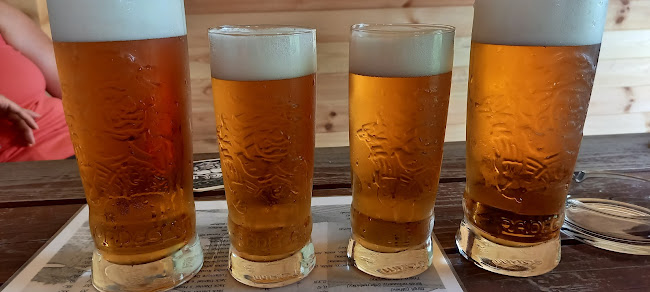 Opinii despre U Paneláků în Vratimov - Gastronomie a pohostinství