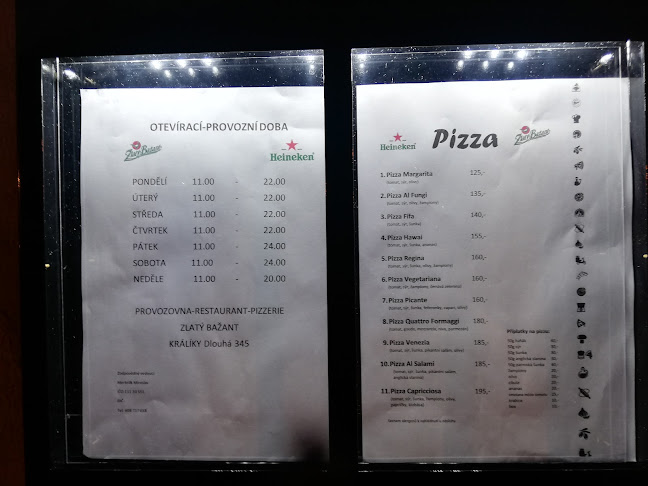 Comentarii opinii despre Pizzeria Restaurant Zlatý Bažant