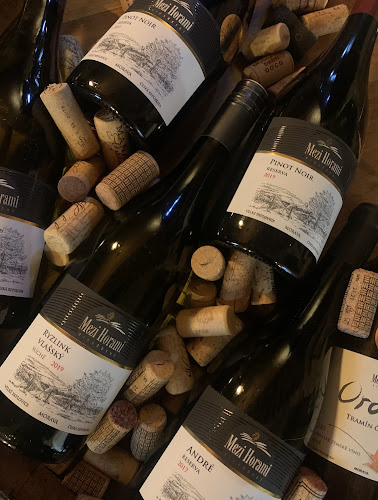 Moje první Vinotéka - Gastronomie a pohostinství