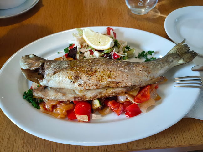 Opinii despre Stará Sladovna în Zábřeh - Gastronomie a pohostinství