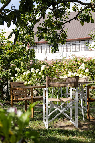 Comentarii opinii despre Palačinka