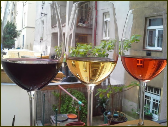 Comentarii opinii despre Český archiv vín Dejvice (vinotéka, vinný bar, sýrárna, eshop s vínem)