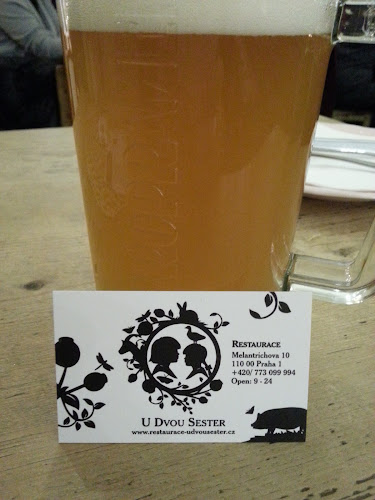 Comentarii opinii despre U Dvou Sester