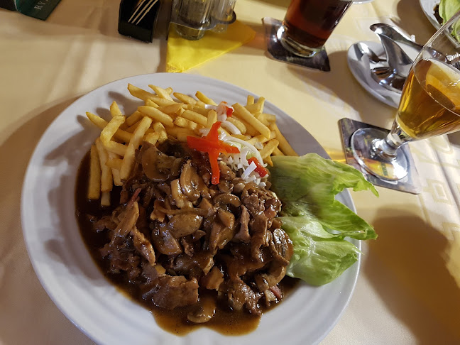 Hadí vrána - Plzeň 1