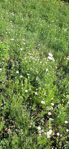 Hostinec Za Vodou - Gastronomie a pohostinství