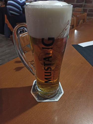 Opinii despre Koulovna Orlová în Orlová - Gastronomie a pohostinství