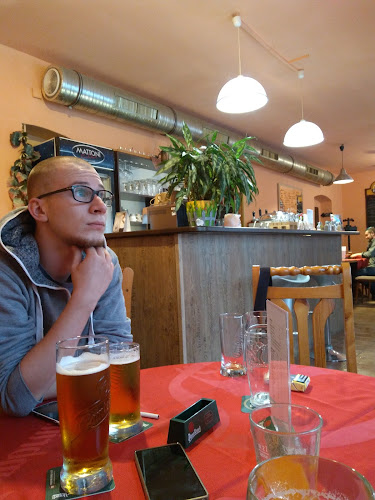 Opinii despre Penzion a restaurace U Krkovičky în Plzeň - Gastronomie a pohostinství