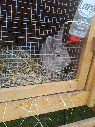 Sluníčko POINT - Plzeň