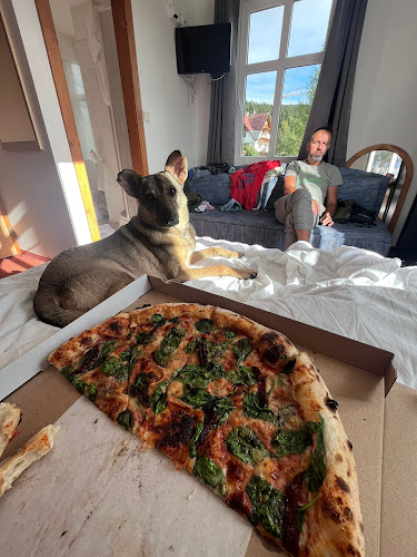 Big Johns PIZZA - TAKE AWAY/DELIVERY - Gastronomie a pohostinství