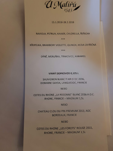 Comentarii opinii despre Restaurace U Malířů1543