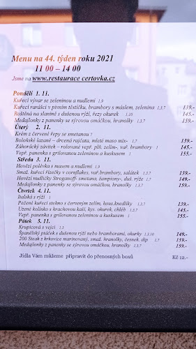 Opinii despre Restaurace Čertovka Ostrava în Ostrava - Gastronomie a pohostinství