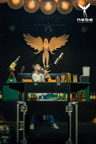 Opinii despre BarmanParty.com - Michal Novotný în Chomutov - Gastronomie a pohostinství