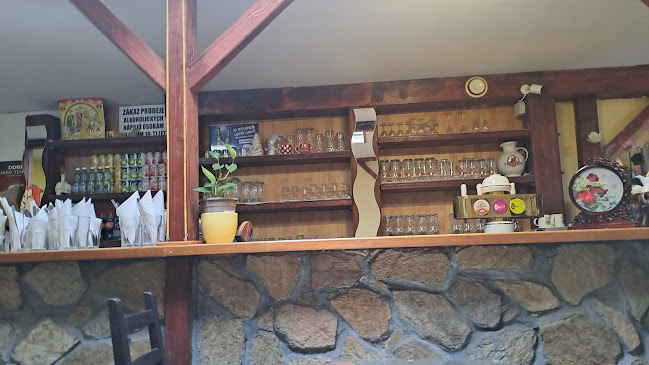 Opinii despre Restaurace Asia în Znojmo - Gastronomie a pohostinství