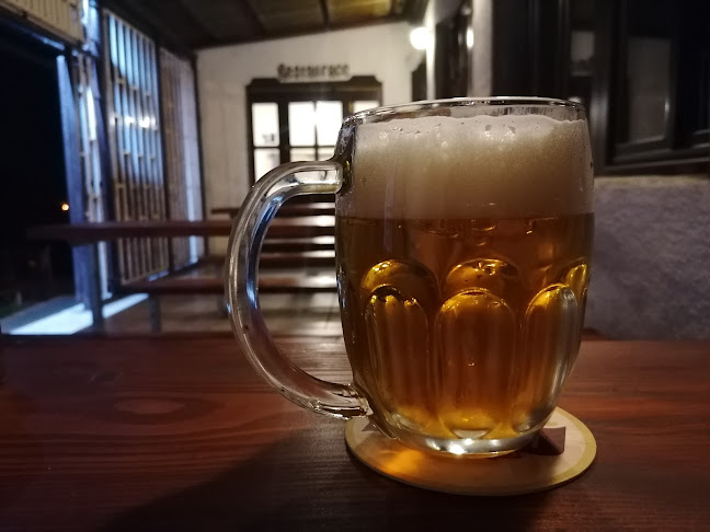 Opinii despre KD Mlejn în Krupka - Gastronomie a pohostinství