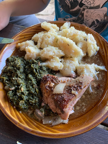 Opinii despre Hostinec U Studny în Hradec Králové - Gastronomie a pohostinství